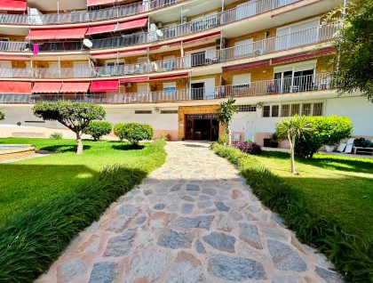 Sprzedaż - Apartament - Torrevieja - Playa de los locos