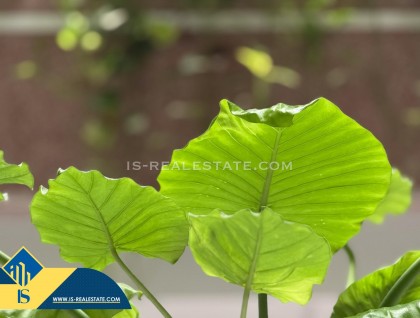 Sprzedaż - Apartament - Torrevieja - Playa del cura