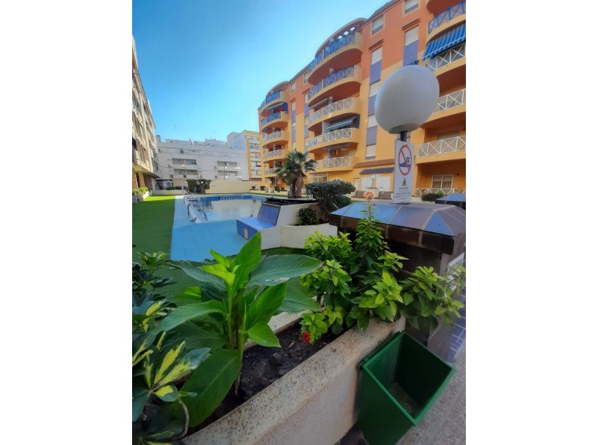 Sprzedaż - Apartament - Torrevieja