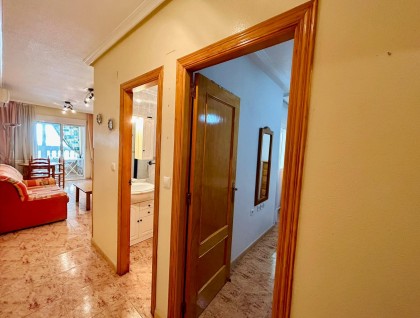 Sprzedaż - Apartament - Torrevieja