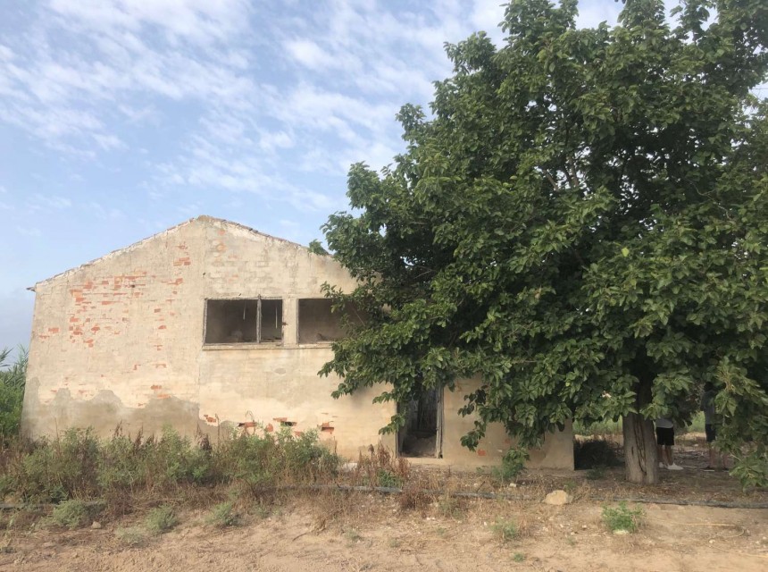 Sprzedaż - Finka - Orihuela - Callosa De Segura