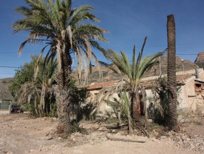 Sprzedaż - Finka - Orihuela - La Aparecida