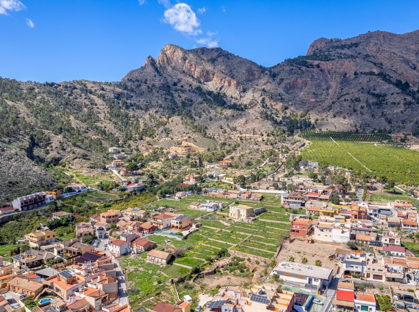 Sprzedaż - Finka - Orihuela - Orihuela Costa