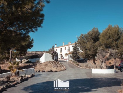 Sprzedaż - Kamienica - Lorca
