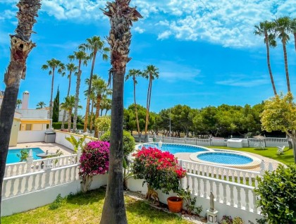Sprzedaż - Kamienica - Orihuela costa - La Rioja