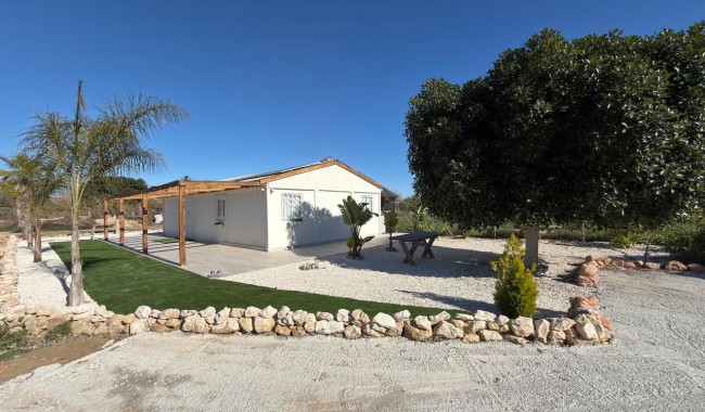 Tomt - Begagnad - Algorfa - Algorfa