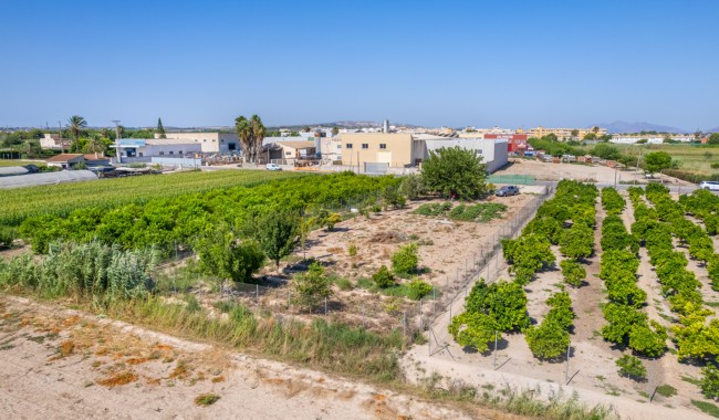 Tomt - Brukt - Formentera del Segura - Formentera de Segura