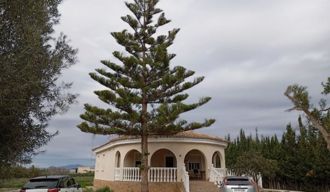 Villa - Begagnad - Daya Vieja - Daya Vieja