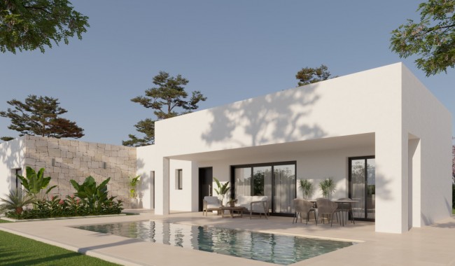 Villa - New Build - Aspe - Aspe Centro