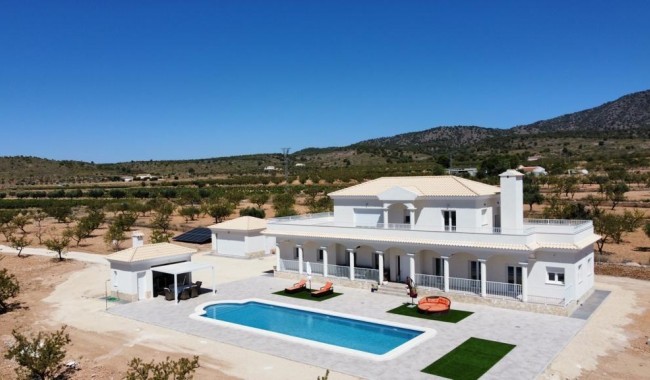 Villa - Nybyggnation - Pinoso - RS-7558