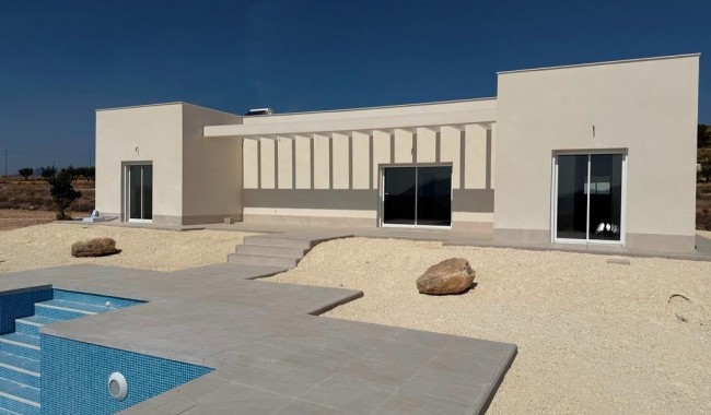 Villa - Nybyggnation - Pinoso - RS-9852