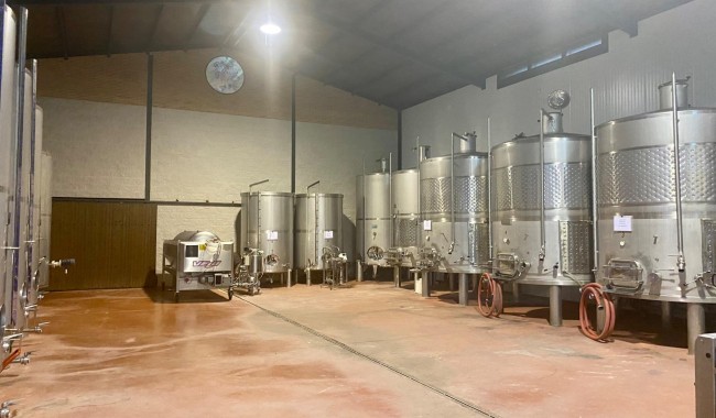 Wine cellar - Resale - Albacete - Albacete