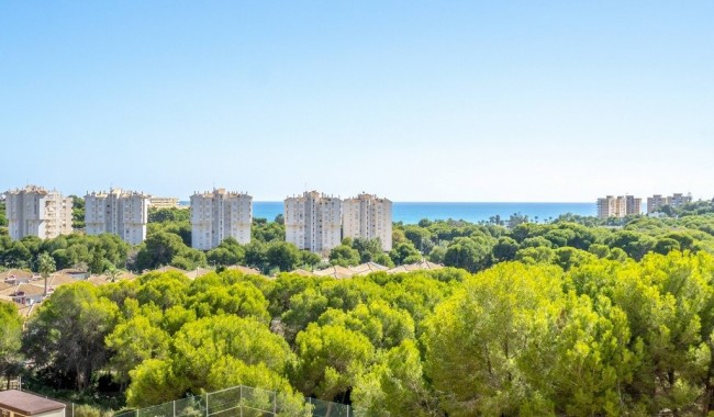 Resale - Apartment - Orihuela costa - Dehesa de Campoamor
