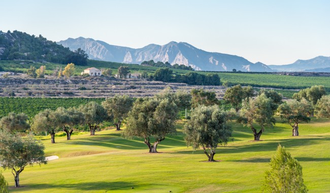 Resale - Villa - Algorfa - La Finca golf