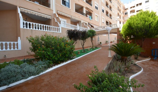 Sprzedaż - Apartament - Guardamar - Playa centro