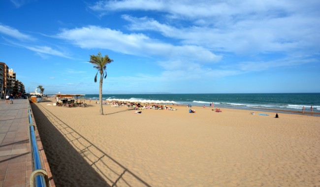 Begagnad - Vertikalt delad - Guardamar - Playa centro