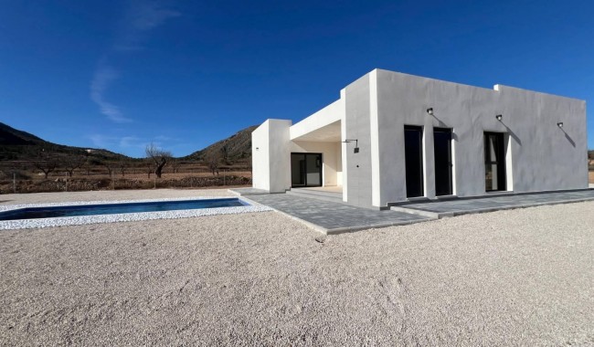 Nueva construcción  - Chalet - Jumilla - Torre del Rico