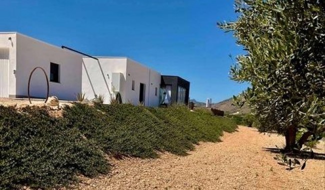Nybyggnation - Villa - Hondon de las Nieves - La Canalosa