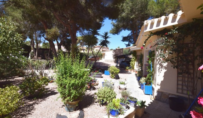 Resale - Villa - Algorfa - Montemar - Saint Andrews Heights