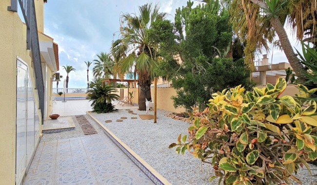 Begagnad - Villa - Torrevieja