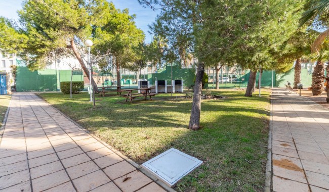 Segunda mano - Apartamento - Orihuela Costa - Cabo Roig