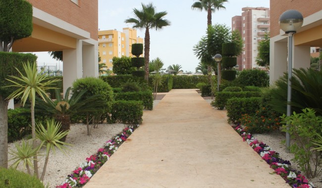 Resale - Apartment - Guardamar