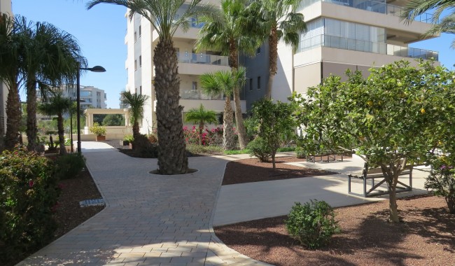 Sprzedaż - Apartament - Orihuela costa - Villamartín