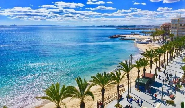 Nybygg - Leilighet - Torrevieja - Playa de los locos