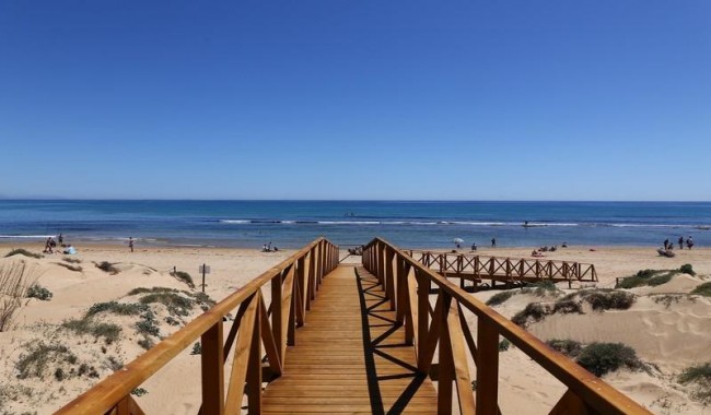 Nybygg - Leilighet - Torrevieja - La Mata