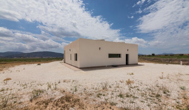 Nueva construcción  - Chalet - Pinoso - Campo