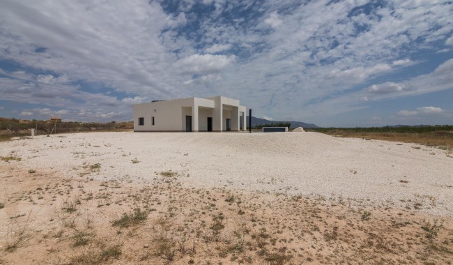 Nueva construcción  - Chalet - Pinoso - Campo