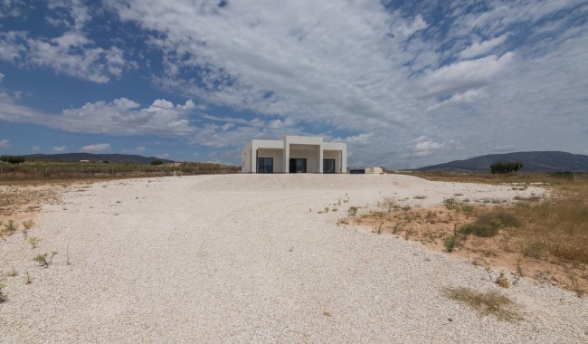 Nueva construcción  - Chalet - Pinoso - Campo