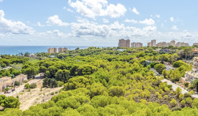 Resale - Apartment - Orihuela Costa - Dehesa de Campoamor