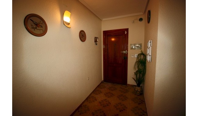 Sprzedaż - Apartament - Guardamar - Playa centro