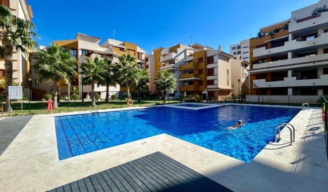 Segunda mano - Apartamento - Torrevieja - Punta prima