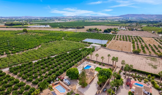 Sprzedaż - Willa - Rafal