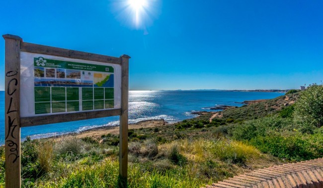 Segunda mano - Adosado - Orihuela Costa - Cabo Roig