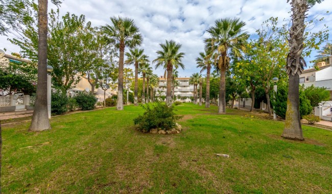 Segunda mano - Apartamento - Orihuela Costa - Dehesa de Campoamor