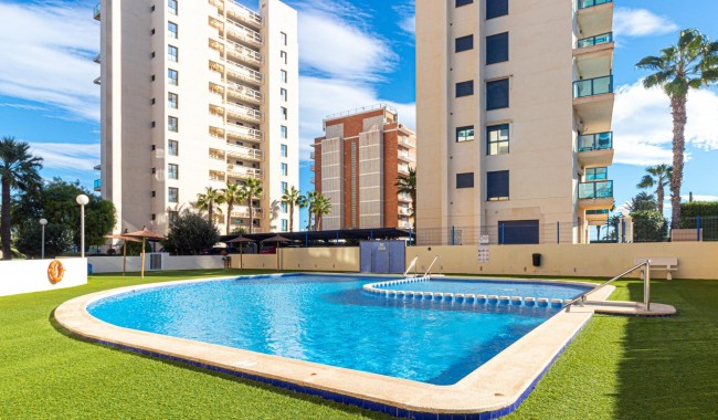 Apartamento - Segunda mano - Torrevieja - La veleta