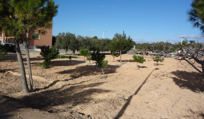 Begagnad - Finca - El Altet