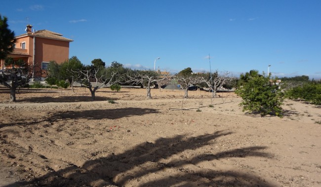 Begagnad - Finca - El Altet