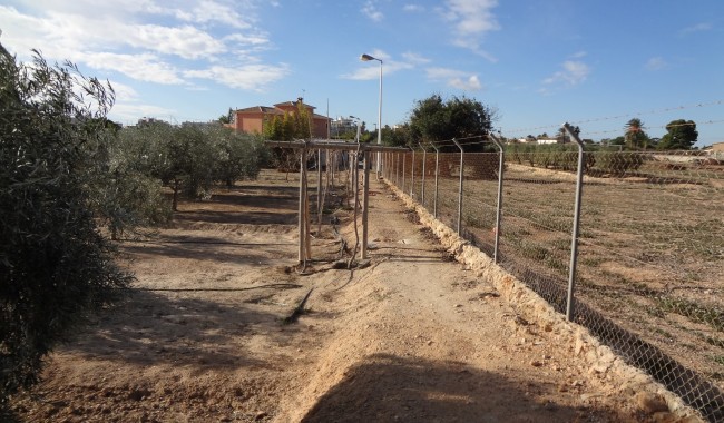 Begagnad - Finca - El Altet