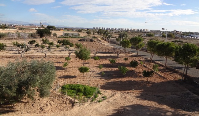 Begagnad - Finca - El Altet