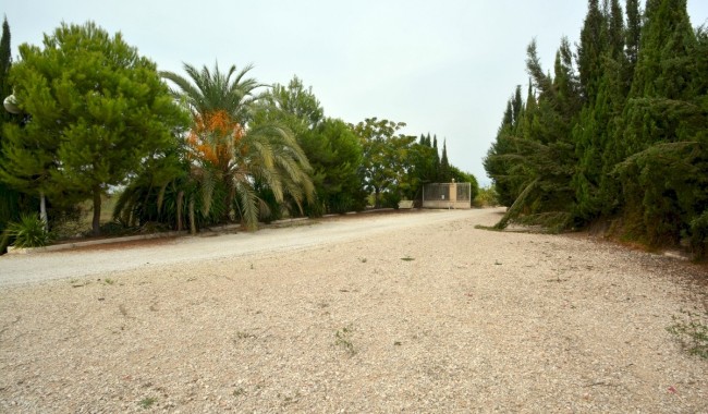 Begagnad - Finca - Almoradi