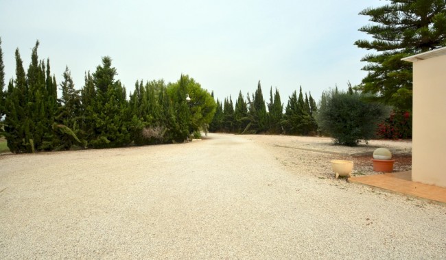 Begagnad - Finca - Almoradi