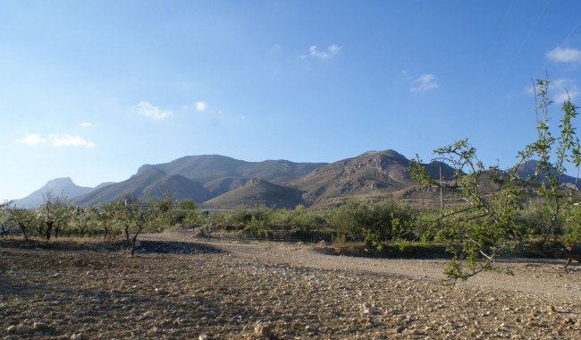 Plot - Resale - Murcia - Murcia