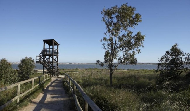Nybygg - Leilighet - Torrevieja - Altos del Sol