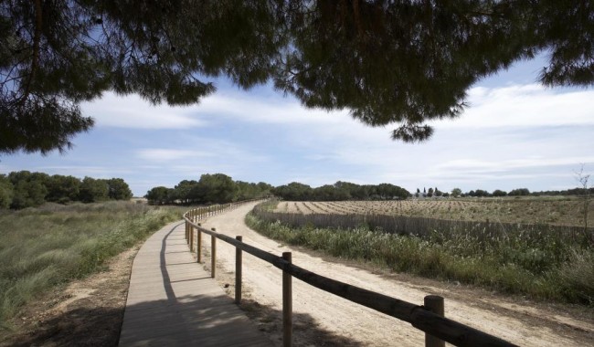 Nybygg - Leilighet - Torrevieja - Altos del Sol