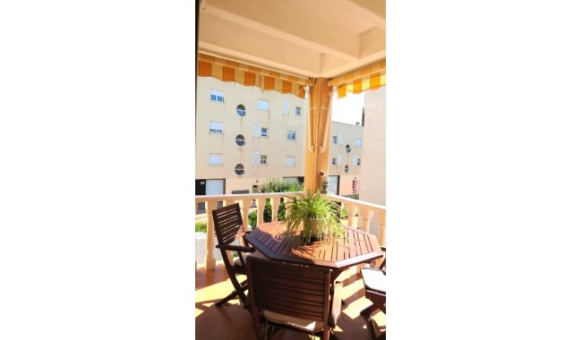 Begagnad - Lägenhet - Orihuela Costa - La Zenia