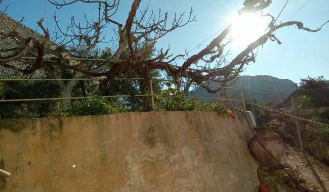 Resale - Semi-detached - Murcia